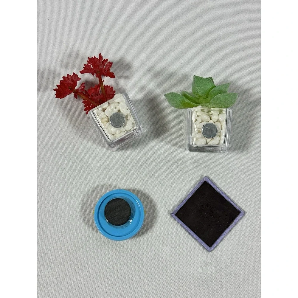 Lot Of 4 Plastic Floral Magnets,‎ Succulents